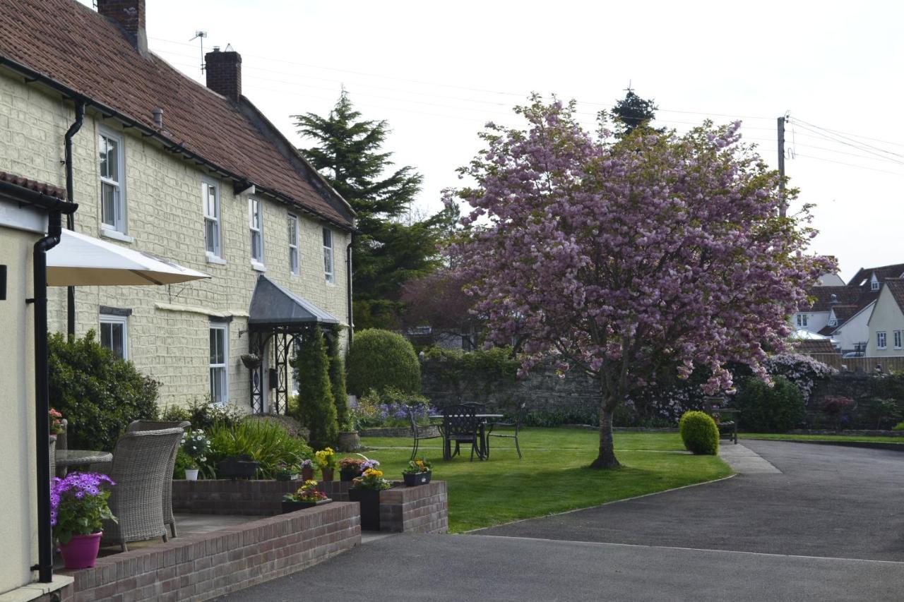 The Lawns Tea Room And B&B Ashcott Экстерьер фото