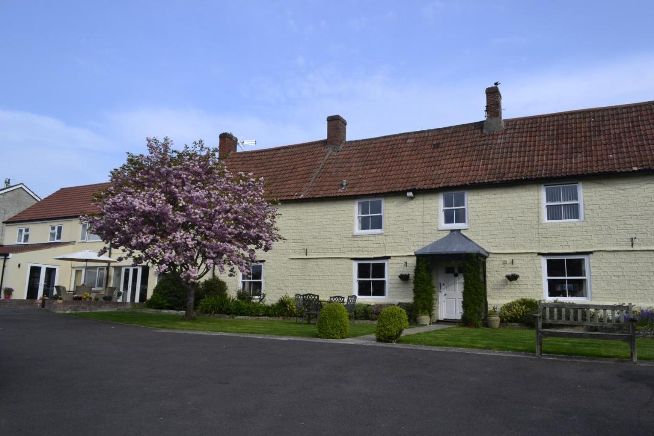 The Lawns Tea Room And B&B Ashcott Экстерьер фото