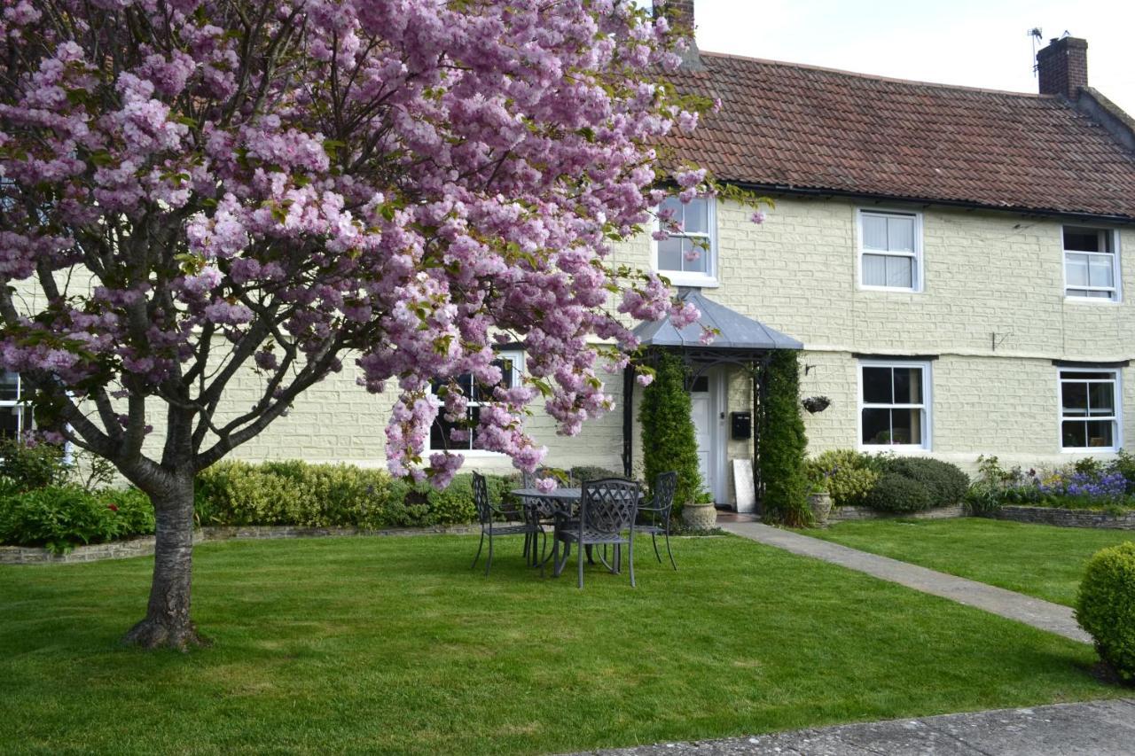 The Lawns Tea Room And B&B Ashcott Экстерьер фото